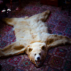 play Jigsaw: Bear Rug