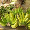 play Jigsaw: Banana Bunch