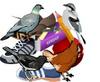 play Identify Peculiar