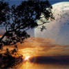 play Moon