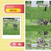 play Row Puzzle - Donkey