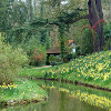 play Jigsaw: Spring Time