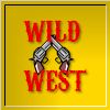 play Wild West Reaction 2