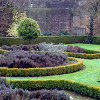 play Jigsaw: Winter Garden