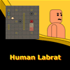 play Human Labrat