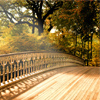 play Bridge Jigsaw