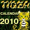 play Tiger Calendar 2010