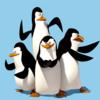 play Penguin Puzzle