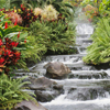 play Nature Beauties - Waterfall Jigsaw
