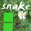 play Snake