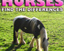 play Differences: Horses