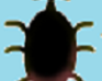 play Beetle Mania