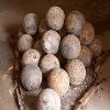 play Jigsaw: Cannonballs