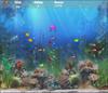 play Aquatic Hunt