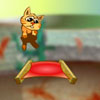 play Cat Killer