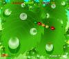 play Leaf Bug