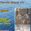 play Puzzle Mania V2 - Zebra