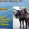 play Puzzle Mania V2 - Horses