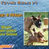 play Puzzle Mania V2 - Tyson & Anton