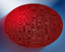 play Red Ball Survival