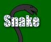 play Snake