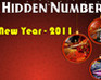 play Hidden Number New Year 2011