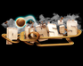play Physis
