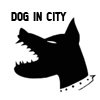 play Dog In City