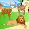 play Zoo Decoration