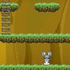 play Rabbit Adventure