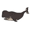 play Operation Whale