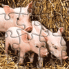 play 3 Piglets Jigsaw