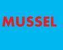 play Mussel Demo