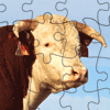play Hereford Bull Jigsaw