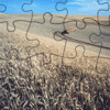 play Wheat Field Jigsaw