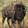 play Buffalo Jigsaw