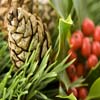 play Jigsaw: Tree Cone
