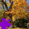 play Fall Tree Jigsaw