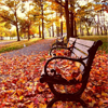 play Autumn Park Jigsaw