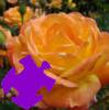 play Autumn Rose Jigsaw