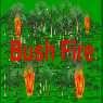 play Bush Fire