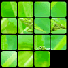 play Zen Puzzle