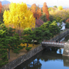 play Jigsaw: Kyoto Nijo Garden