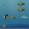 play Fish Adventure
