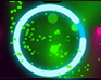 play Neon Catcher