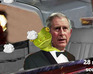 play Prince Charles V Students