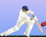 play Cricket