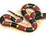 play Ultimate Snake