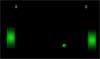 play Pong Tutorial