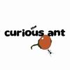 play The Curious Ant